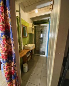 a bathroom with a sink and a shower at Chouk-Ezaï côte sauvage de l'île in Groix