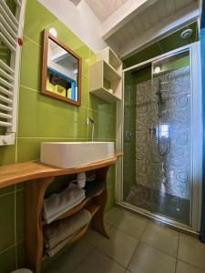 uma casa de banho com um lavatório e um chuveiro em Chouk-Ezaï côte sauvage de l'île em Groix