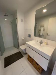 Kylpyhuone majoituspaikassa Mezzanine Apartment