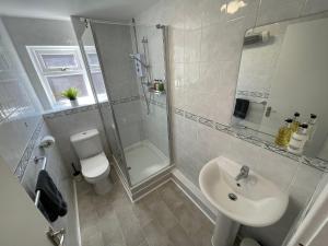 a bathroom with a shower and a sink and a toilet at High Tide House in Christchurch