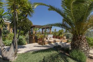 einen Garten mit Palmen und ein Haus in der Unterkunft Quinta Dionysus in Albufeira