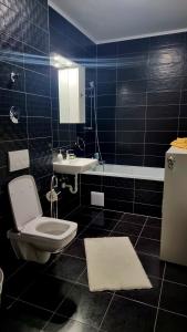 uma casa de banho com um WC e um lavatório em Swan Brasov Apartment em Brasov