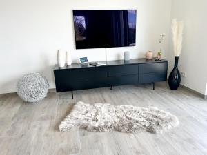 a living room with a black cabinet and a white rug at Wohnung Alpenblick in Höchenschwand