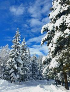 Fotografie z fotogalerie ubytování HASI hotel Jermuk v destinaci Jermuk