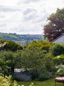 uitzicht op een tuin met bomen en struiken bij Owl and Dragon Studio in Totnes