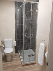 a bathroom with a shower with a toilet and a sink at CORRAL DEL DUQUE II in San Cristóbal de Segovia