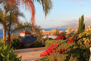 Fotografia z galérie ubytovania Los Órganos Luxe v destinácii Puerto de la Cruz