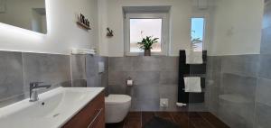 a bathroom with a sink and a toilet and a window at Vogelkoje - Urlaub an der Nordsee in Nordfriesland in Bredstedt