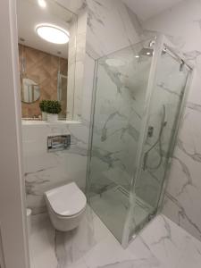 bagno bianco con doccia e servizi igienici di Masuria Apartaments Ełk Symfonia a Ełk