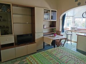 A television and/or entertainment centre at Monolocale Ischia Isola Verde