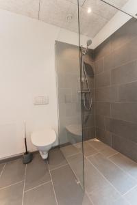 a bathroom with a shower and a toilet at Brand New / Airport / RentYourCar / Free Parking in Miðvágur