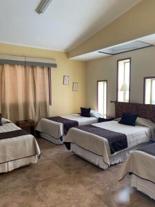 three beds in a room with windows at Juku Hostal in Calama