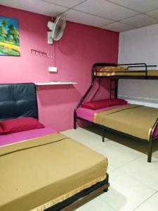two bunk beds in a room with pink walls at Ayah Perhentian in Perhentian Island