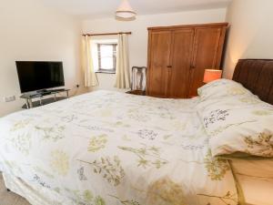 a bedroom with a bed and a television at Sunnymead Cottage in Halwill