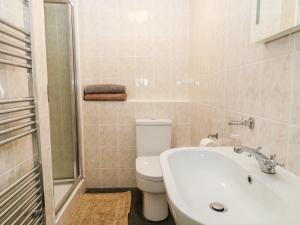 a bathroom with a white toilet and a sink at Sunnymead Cottage in Halwill +9 photos