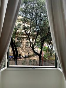 ein Fenster in einem Zimmer mit Blick auf einen Baum in der Unterkunft Paramount in Rom