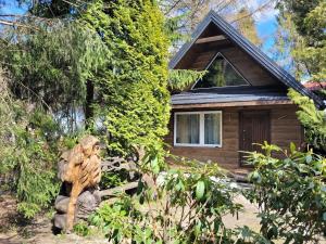 a statue of a bear in front of a house at Księżycowy Domek Nad Potokiem in Wisła