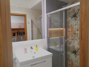 a bathroom with a sink and a shower at Apartament Pod Papugami Karpatia Resort in Karpacz