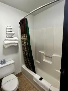 Koupelna v ubytování Buffalo Bill's Antlers Inn