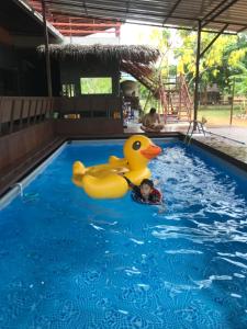 Bazén v ubytování Baan Nork Farmstay บ้านนอก ฟาร์มสเตย์ nebo v jeho okolí