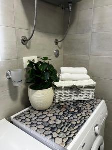 a bathroom with a plant sitting on a counter at Apartment Vitturina in Kaštela +50 photos