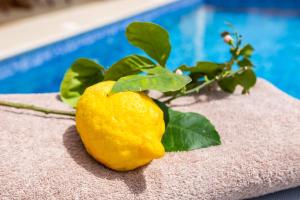 a lemon sitting on top of a rock next to a pool at Karpathos View Villa in Karpathos