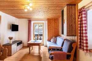 TV a/nebo společenská místnost v ubytování Haus Niklos - Waldeck