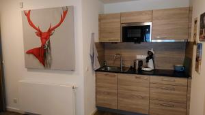 a kitchen with wooden cabinets and a deer head on the wall at Maurers Schlierseetraum 6, Studio 455 mit 42 qm neu renoviert, Erdgeschoss mit eingezäunter Terrasse in ruhiger Lage am Kirchbichlweg 8 in Schliersee