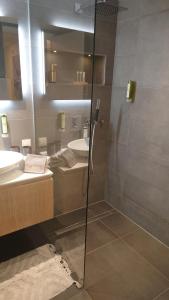 a bathroom with a glass shower and a sink at Maurers Schlierseetraum 6, Studio 455 mit 42 qm neu renoviert, Erdgeschoss mit eingezäunter Terrasse in ruhiger Lage am Kirchbichlweg 8 in Schliersee +9 photos