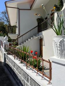 una escalera con flores rojas en un jarrón en la pared en Casa Das Chães, en Caniçada