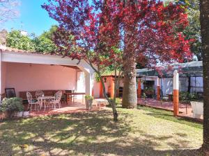 a patio with a tree with red flowers on it at Botanique Guesthouse in Cascais