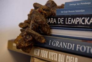 a stack of books with a pile of nuts on top at B&B La Locandiera in Castiglione della Pescaia