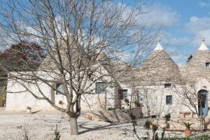 un arbre devant une maison blanche dans l'établissement Trullo Il cantagallo, à Locorotondo 23 autres photos