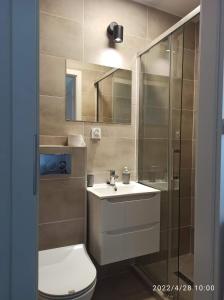 W łazience znajduje się toaleta, umywalka i prysznic. w obiekcie Krynica - pokoje w mieście Krynica Morska