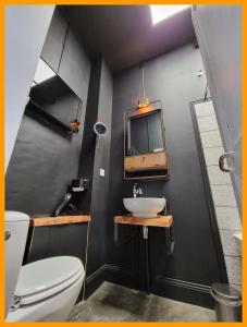 a bathroom with a sink and a toilet and a mirror at Gîtes du petit familistère Landrecies in Guise