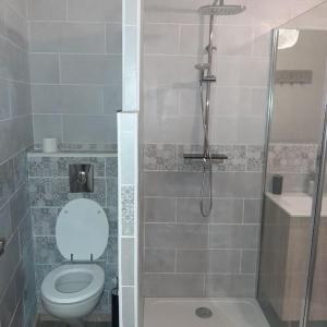 a bathroom with a shower and a toilet and a sink at Maison de ville in Vic-le-Comte +25 photos