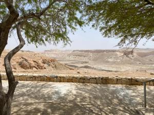 a tree and a stone wall in the desert at צימר עלמא in Yeroẖam