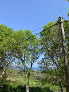 einen Telefonmast mit Bäumen im Hintergrund in der Unterkunft La Luna in Therma