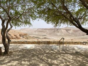 a tree with a swing in the middle of a desert at צימר עלמא in Yeroẖam
