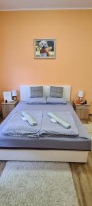 Ένα ή περισσότερα κρεβάτια σε δωμάτιο στο ALES apartman