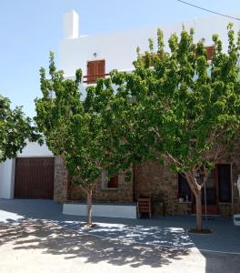 twee bomen voor een gebouw bij Home Sweet Home Milos in Triovasálos