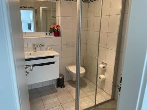 a bathroom with a toilet and a sink and a mirror at Ferienwohnung mit Terrasse und Garten in Seenähe in Bodman-Ludwigshafen