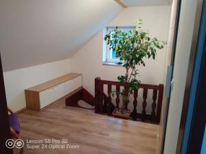Dolany에 위치한 Wellness apartmán Beavital에서 갤러리에 업로드한 사진