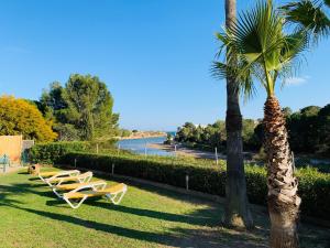 a row of lounge chairs and a palm tree at La casa de l'Estany in L'Ametlla de Mar