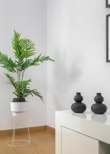 a plant in a pot on a stand in a room at Harmony Elegant Central Apartment in Rhodes Town