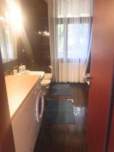 La salle de bains est pourvue de toilettes et d'un lave-linge. dans l'établissement Appartamento immerso nel verde a soli 10 minuti dal centro di Trento Parte di una villa, à Trente