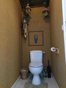 a bathroom with a white toilet in a room at Lodge Du Petit Lion proche DISNEYLAND PARIS in Montévrain