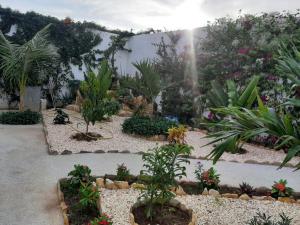 un jardín con un montón de plantas y flores en Résidence Fleur de la petite côte, en Mbour