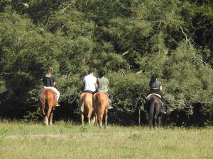 Άλλα ζώα σε αυτό το κατάλυμα σε φάρμα ή στη γύρω περιοχή