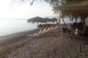 Pantai di atau di dekat rumah liburan